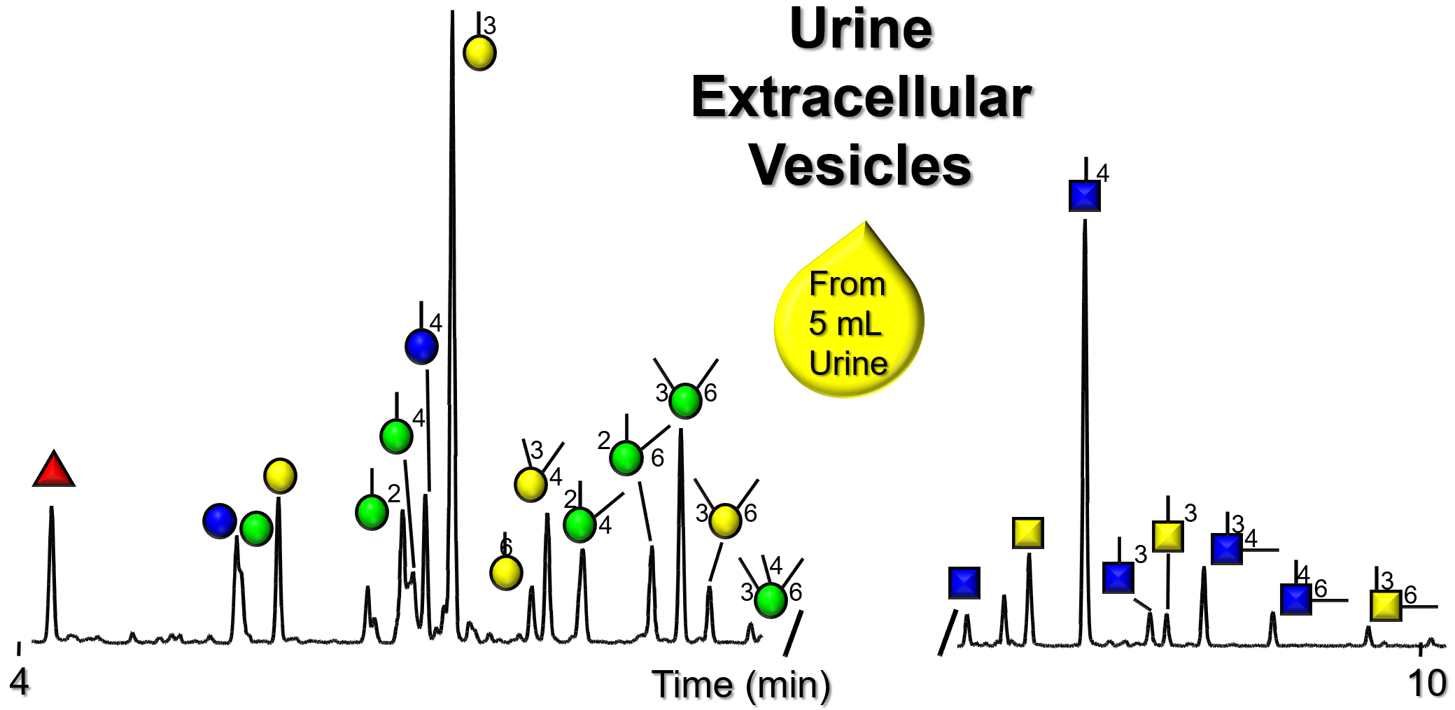 Glycan Node Analysis Urine Extracullular Vesicles (EVs)