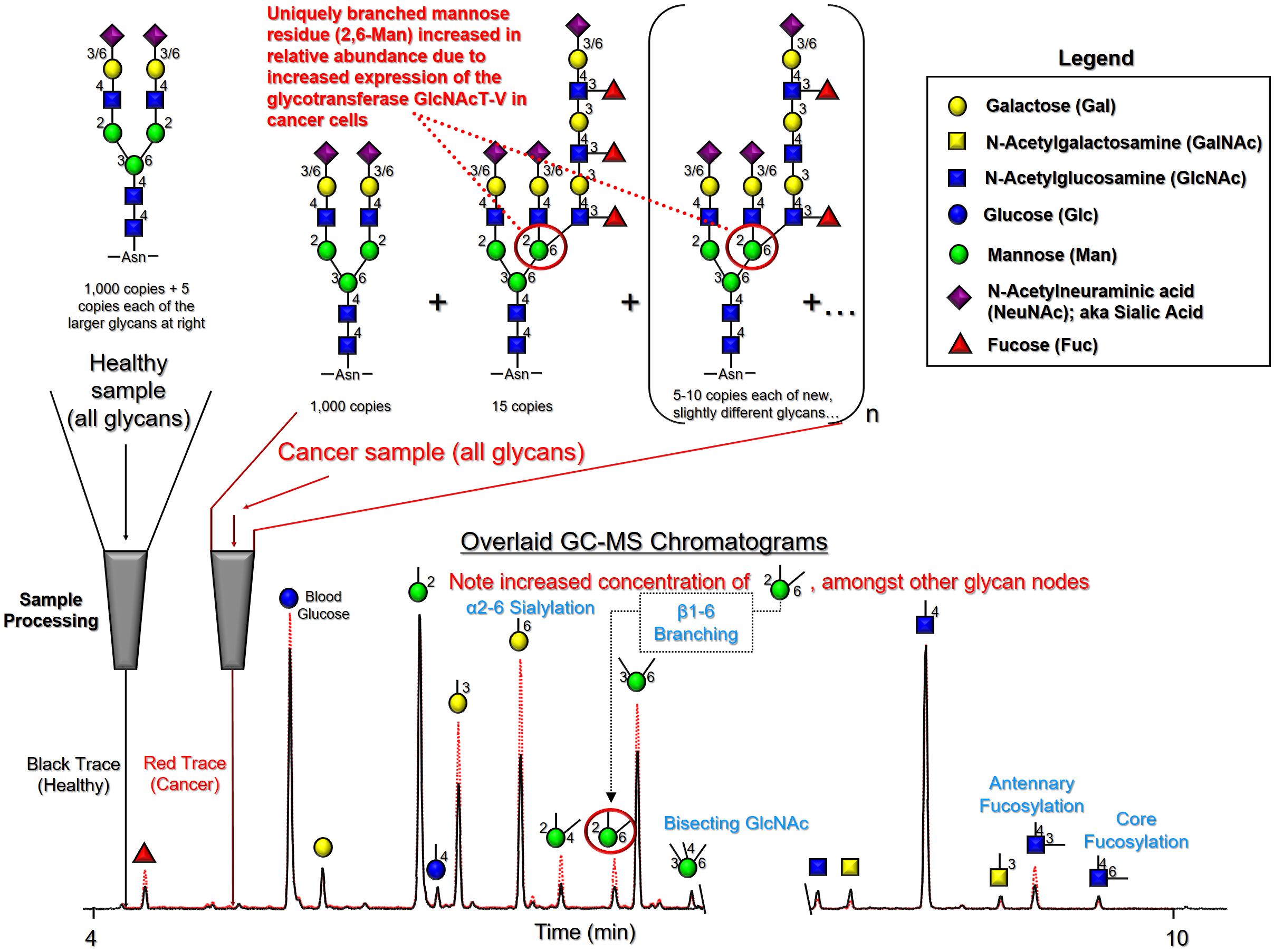Glycan Node Analysis Summary Overview